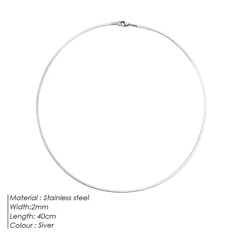 Custom Stainless Steel Collarbone Chain Necklace Snake Bone Chain 5mm Simple and Fashionable Necklace for Women