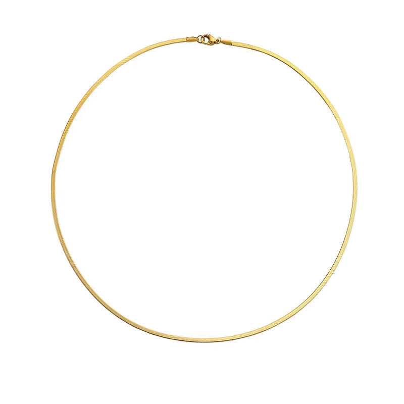 Custom Stainless Steel Collarbone Chain Necklace Snake Bone Chain 5mm Simple and Fashionable Necklace for Women