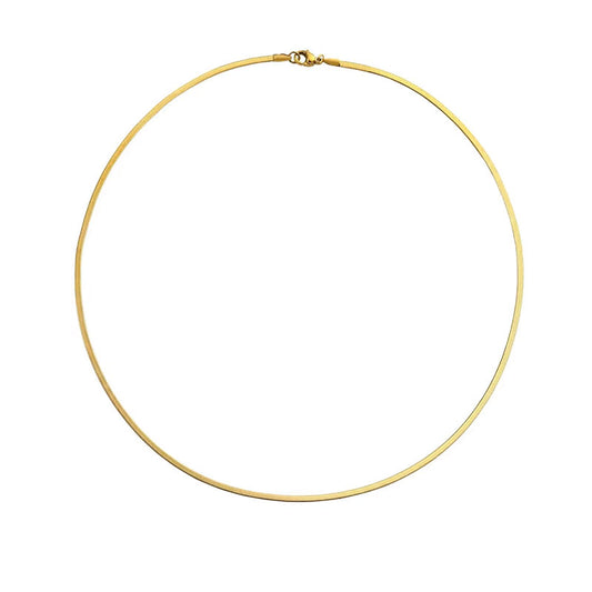 Custom Stainless Steel Collarbone Chain Necklace Snake Bone Chain 5mm Simple and Fashionable Necklace for Women