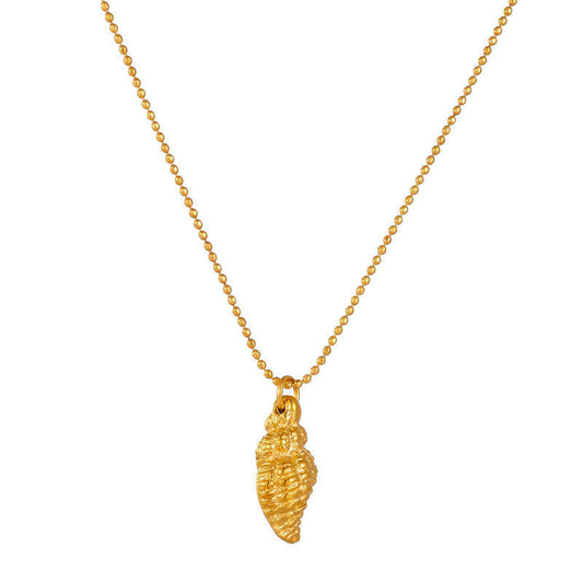 Fade-resistant Minimalist 18K Gold Plate Conch Fine Chains Stainless Steel Women's Necklace for Women